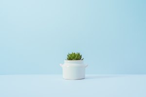 khai-sze-ong-308080-unsplash