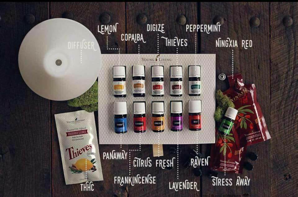 27750700_10156195568587392_898625321492596993_n